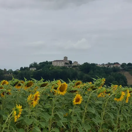Panzió La Maison D'art *