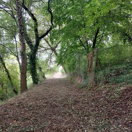 Panzió La Maison D'art