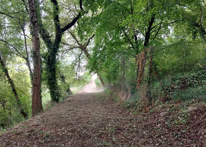 לינה וארוחת בוקר La Maison D'art